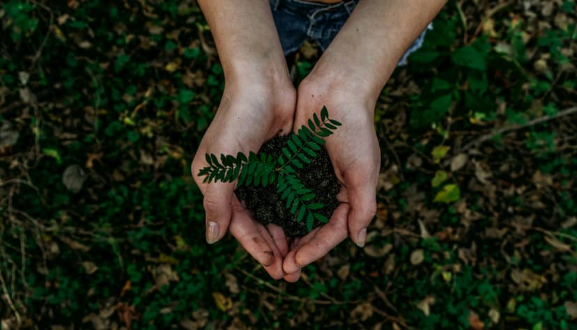 Environmental Services